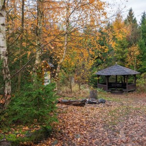 54b2