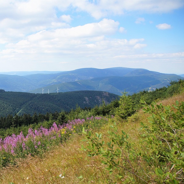 Turistický a dálkový pochod Podhůřím Jeseníků