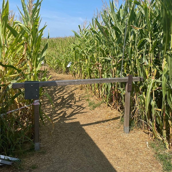 Kukuřičné bludiště Šumperk – Rapotín