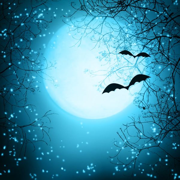 Strašidelný Severák