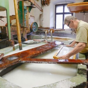 rucni-papir-velke-losiny