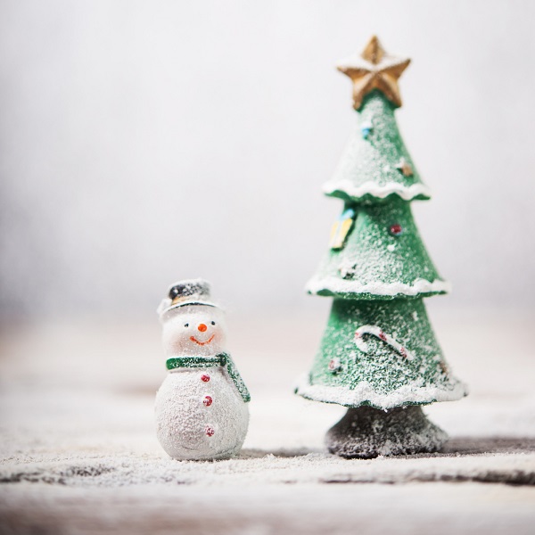 Vánoce na Severáku