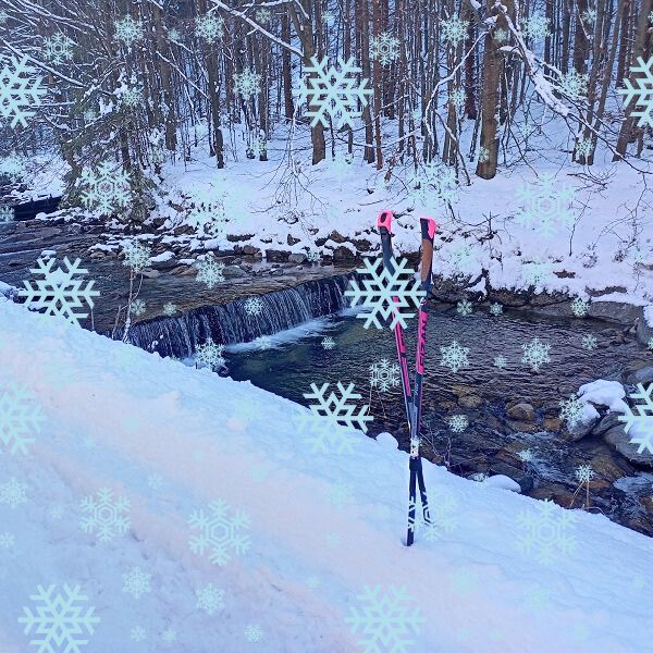 Předvánoční pochod pro Kačenku