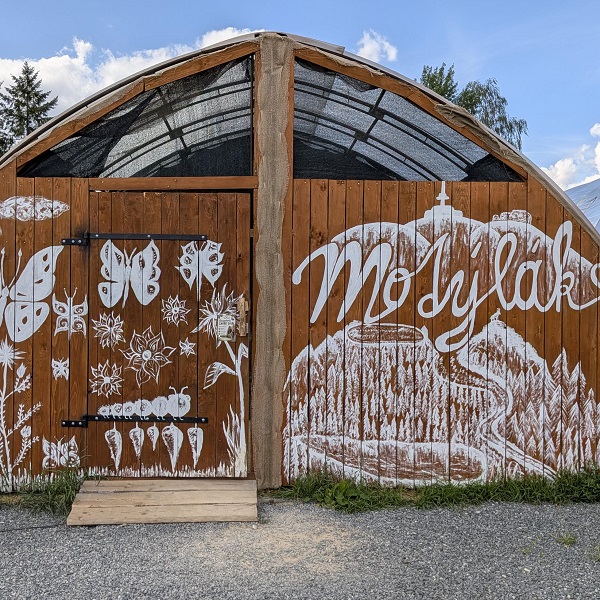 Motýlák Velké Losiny
