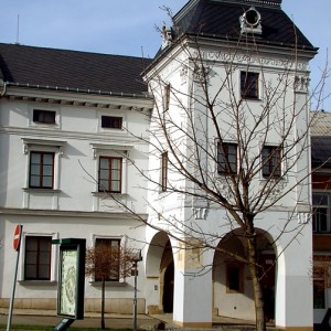 muzeum