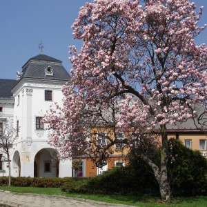 muzeum