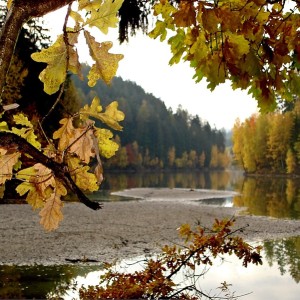 nemilska_prehrada