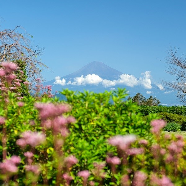Japonsko – s fuji pod Fuji